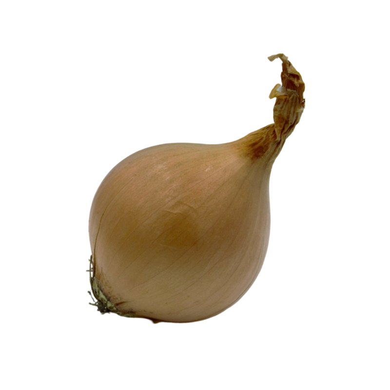 Sturon