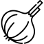 onion2